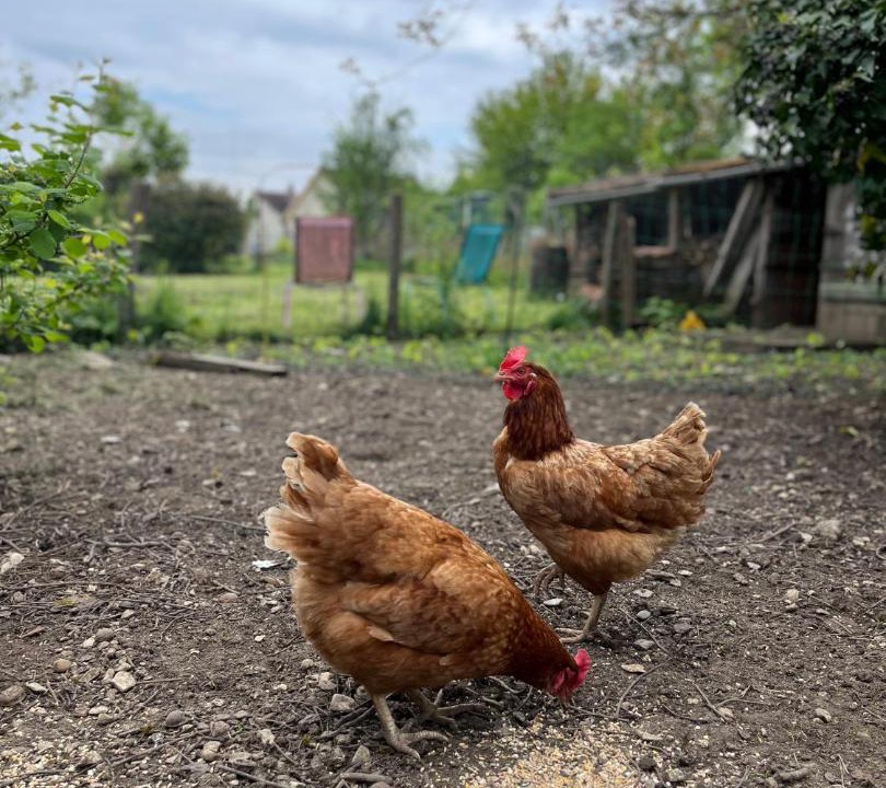 Photo of Others in Accolay