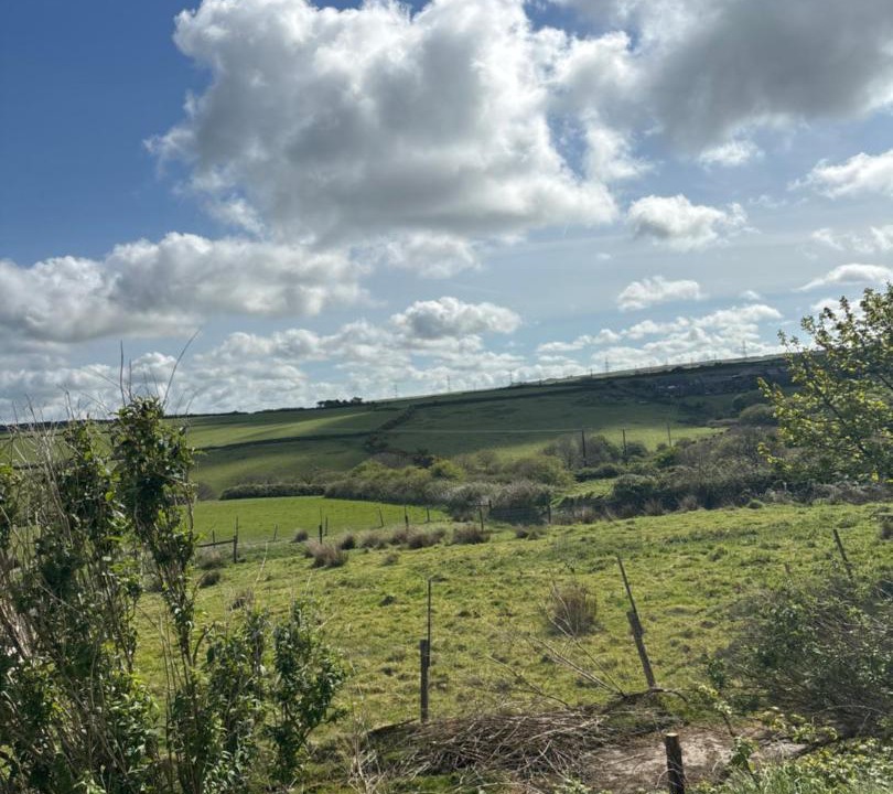 Photo of Others in Boscastle