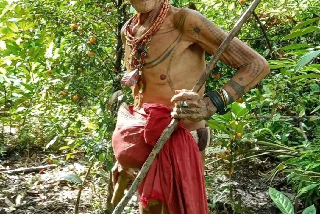 Photo of Human In Picture in Pulau Masokut