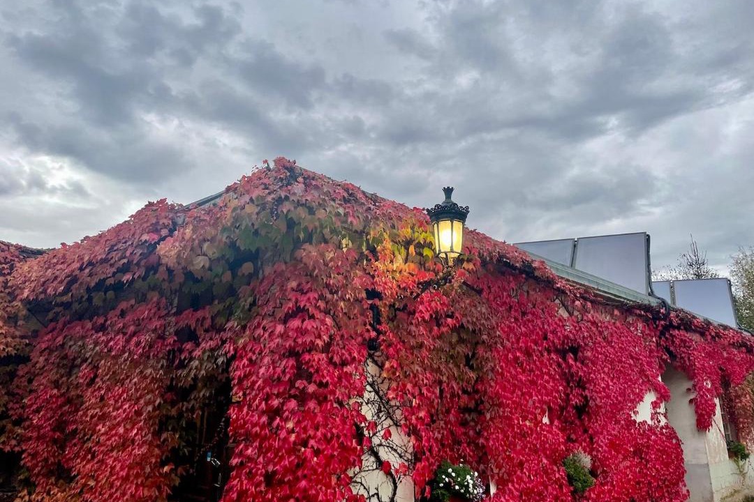 Photo of Others in La Broque