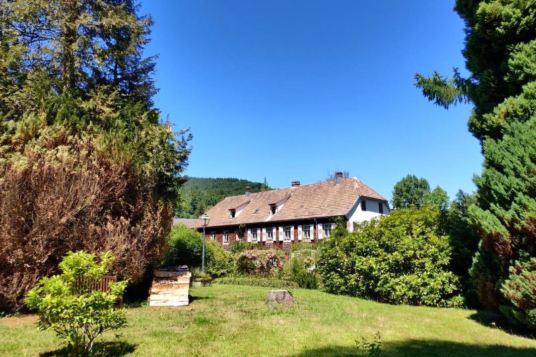 Photo of Others in La Broque