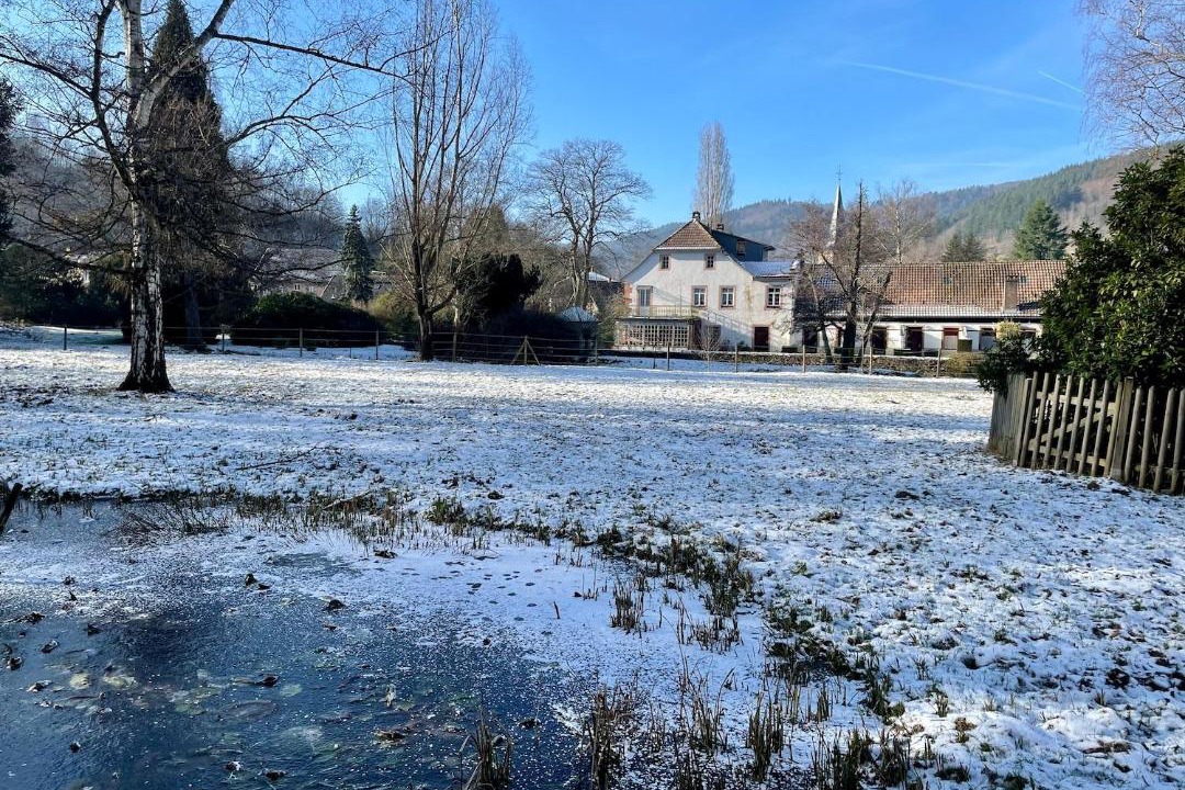 Photo of Others in La Broque