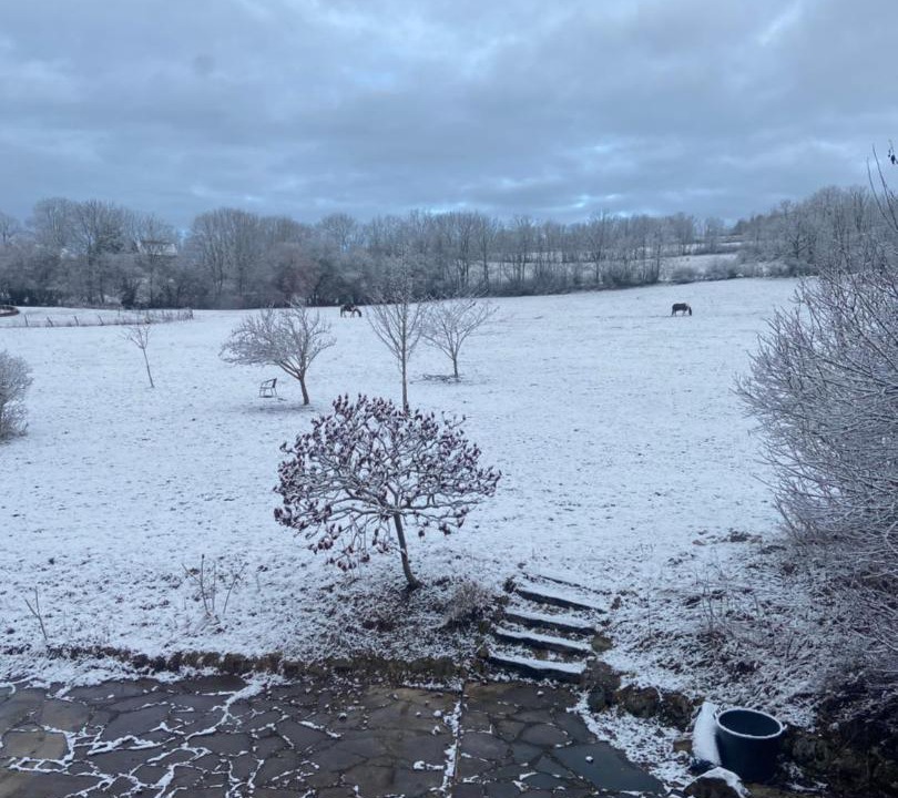 Photo of Others in Innimond