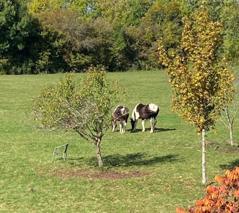 Photo of Others in Innimond