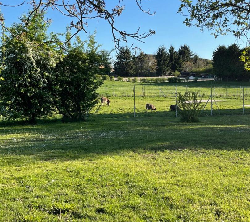 Photo of Others in Savoisy