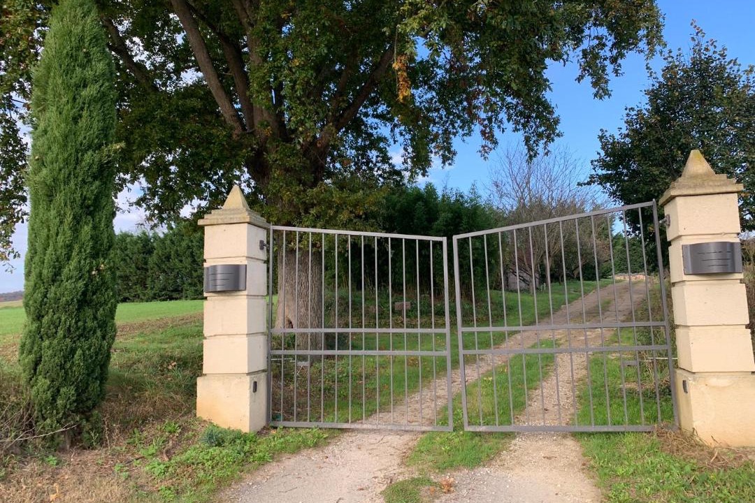 Photo of Others in Mirepoix