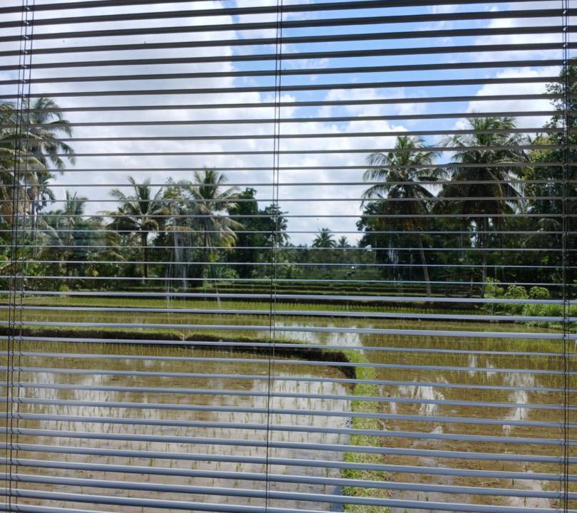 Photo of Others in Kecamatan Pringgasela