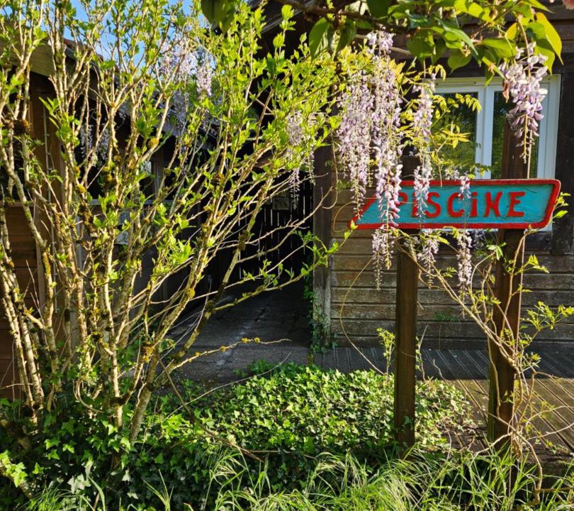 Photo of Others in Uza