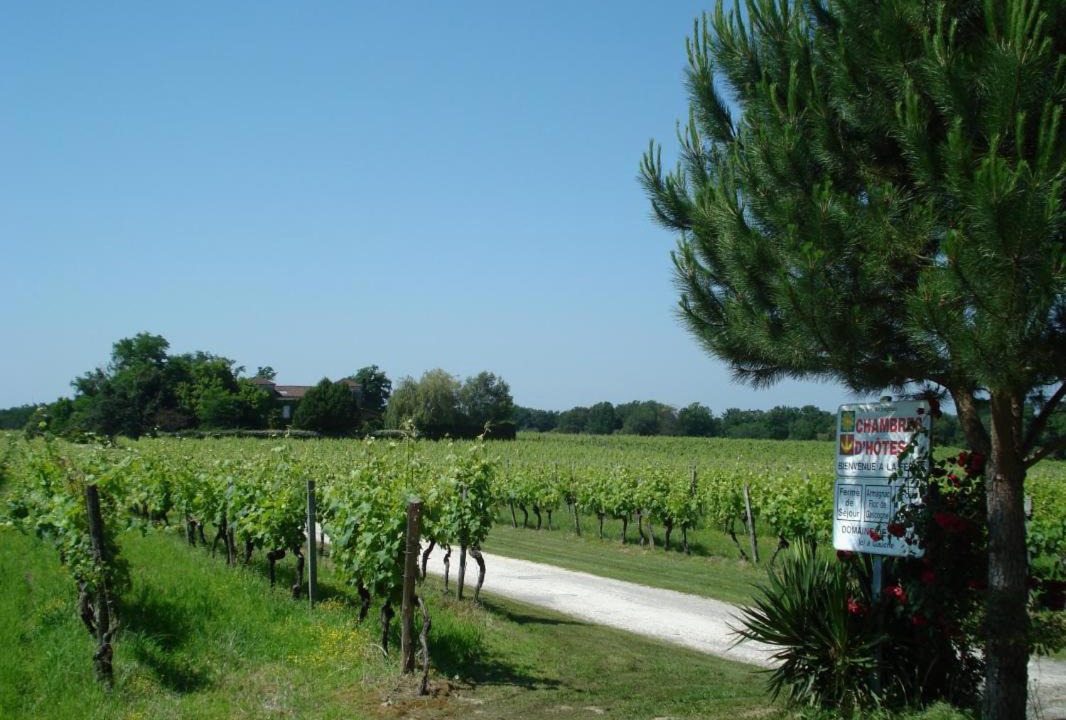 Photo of Others in Betbezer-d'Armagnac