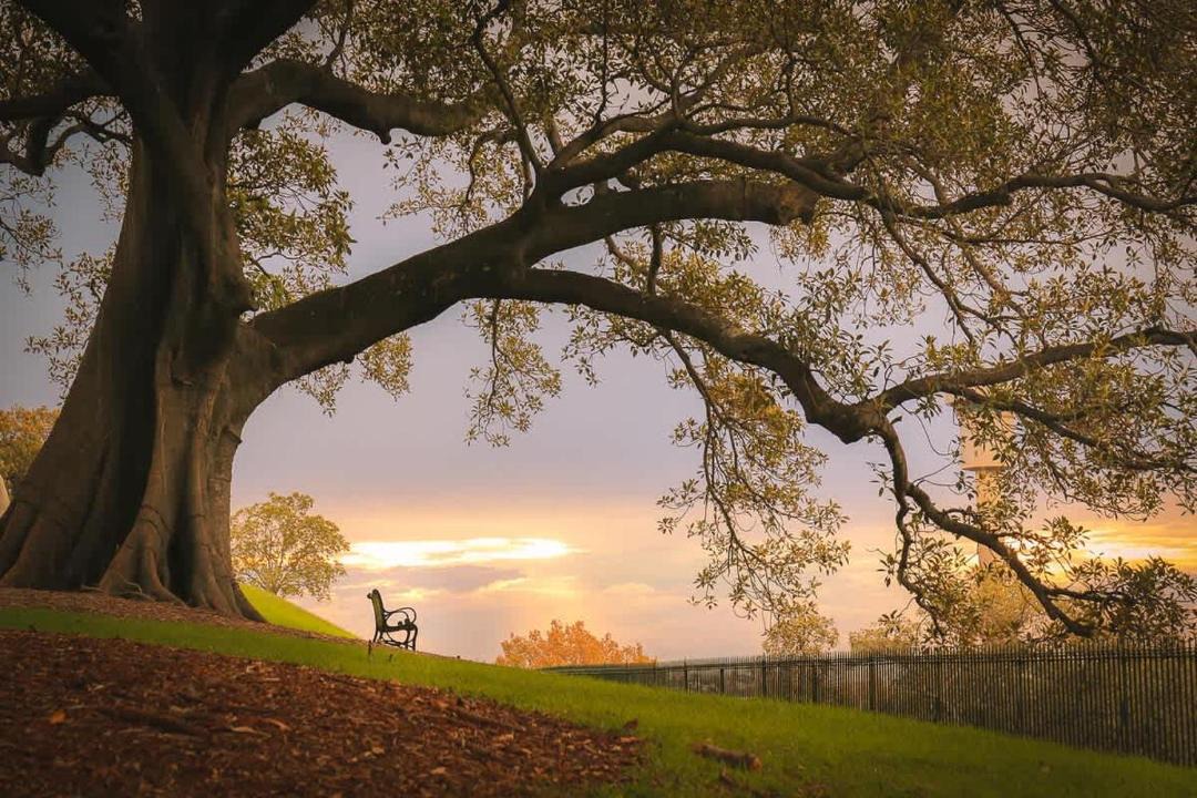 Photo of Others in Millers Point