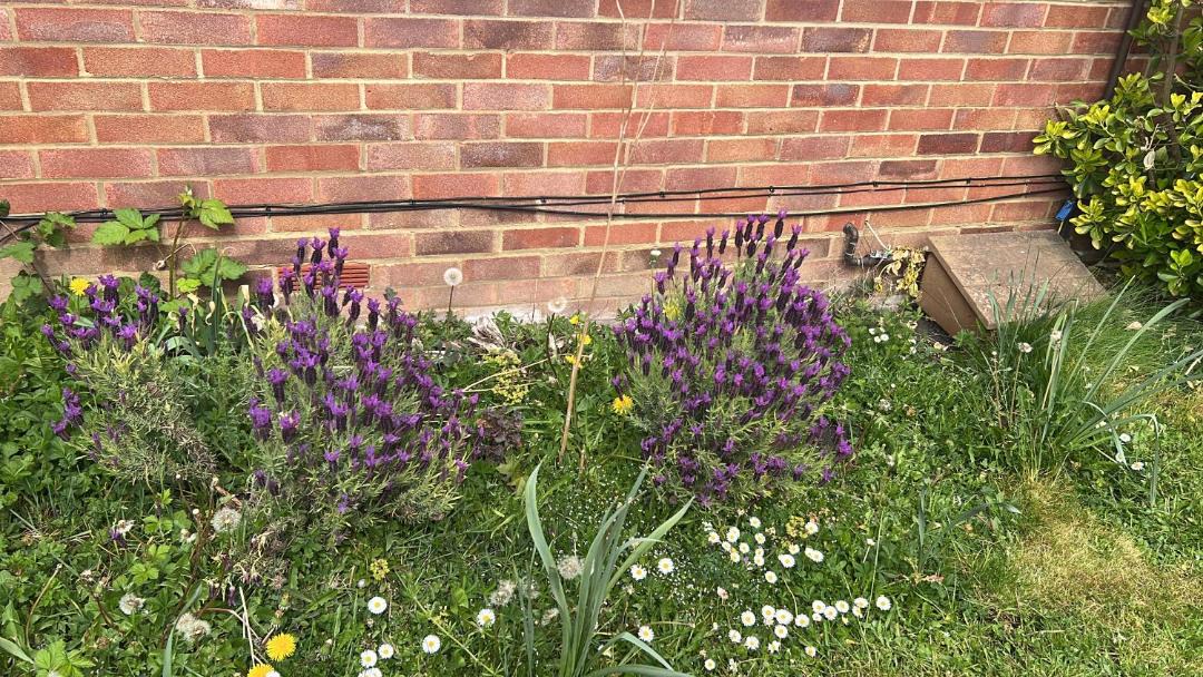 Photo of Outdoor in St Ives