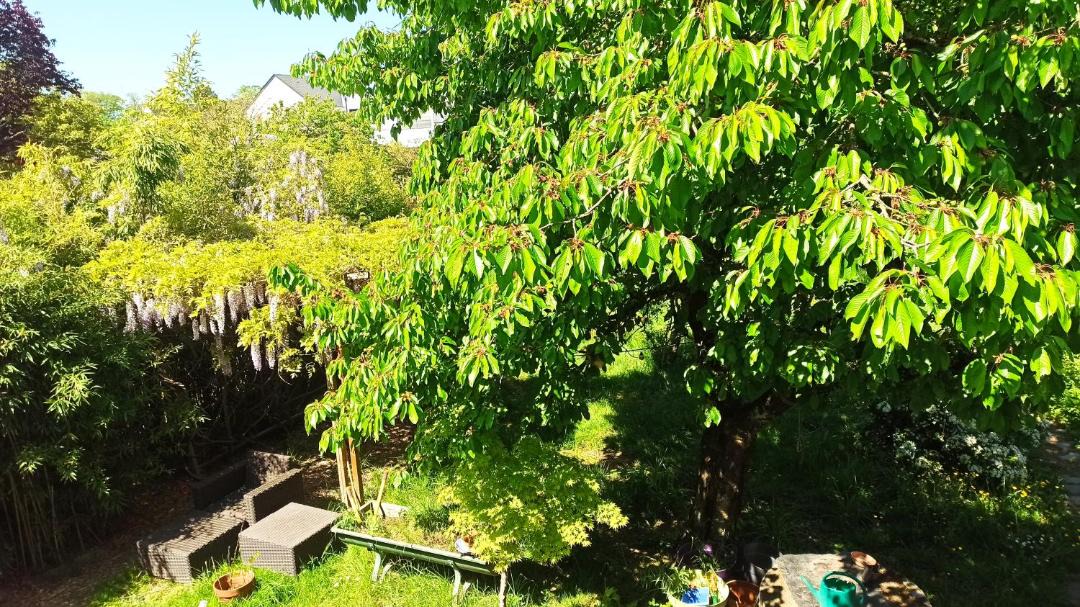 Photo of Others in Les Ponts-de-Ce