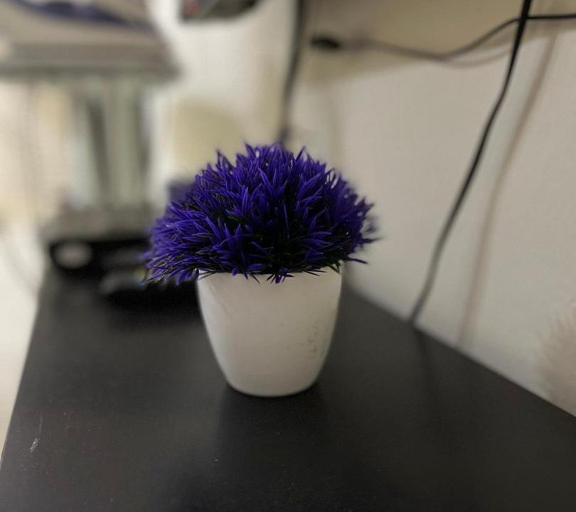 Photo of Others in Bandar Kota Bharu