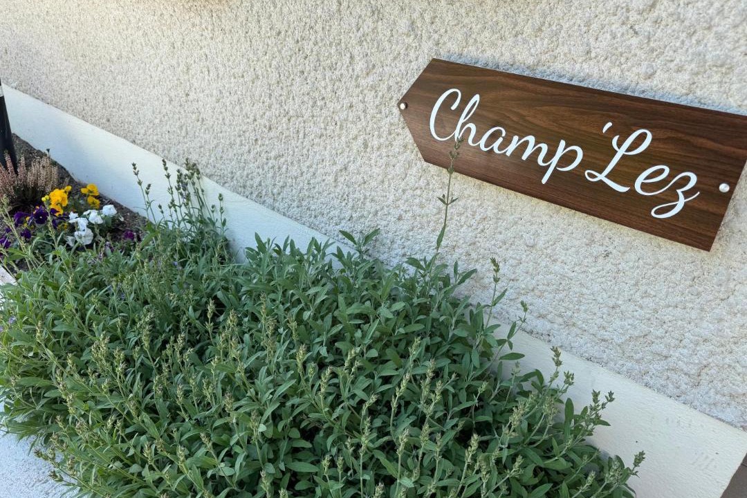 Photo of Others in Reims