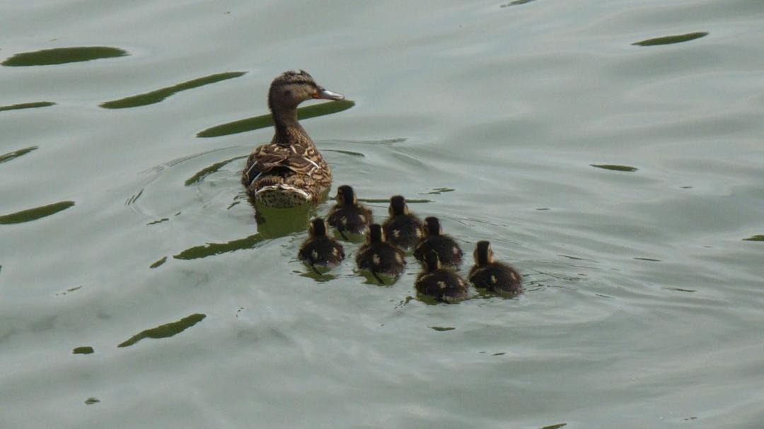 Photo of Others in Laroche-Saint-Cydroine