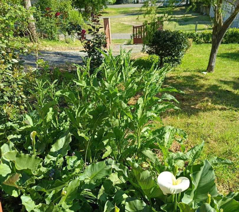 Photo of Outdoor in Carmaux