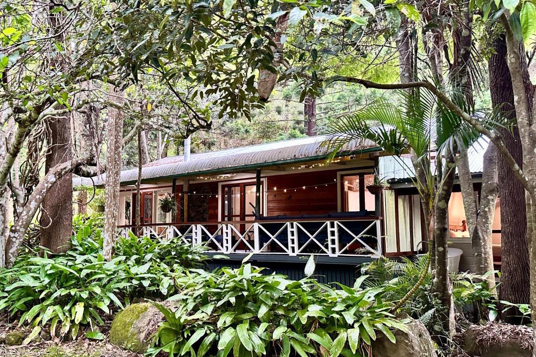 Photo of Others in Lamington