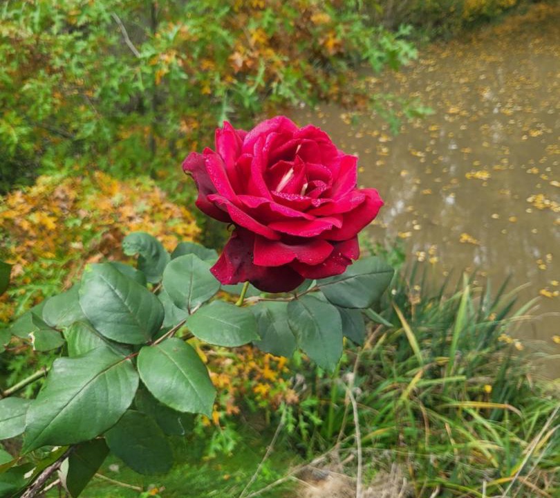 Photo of Outdoor in Burradoo