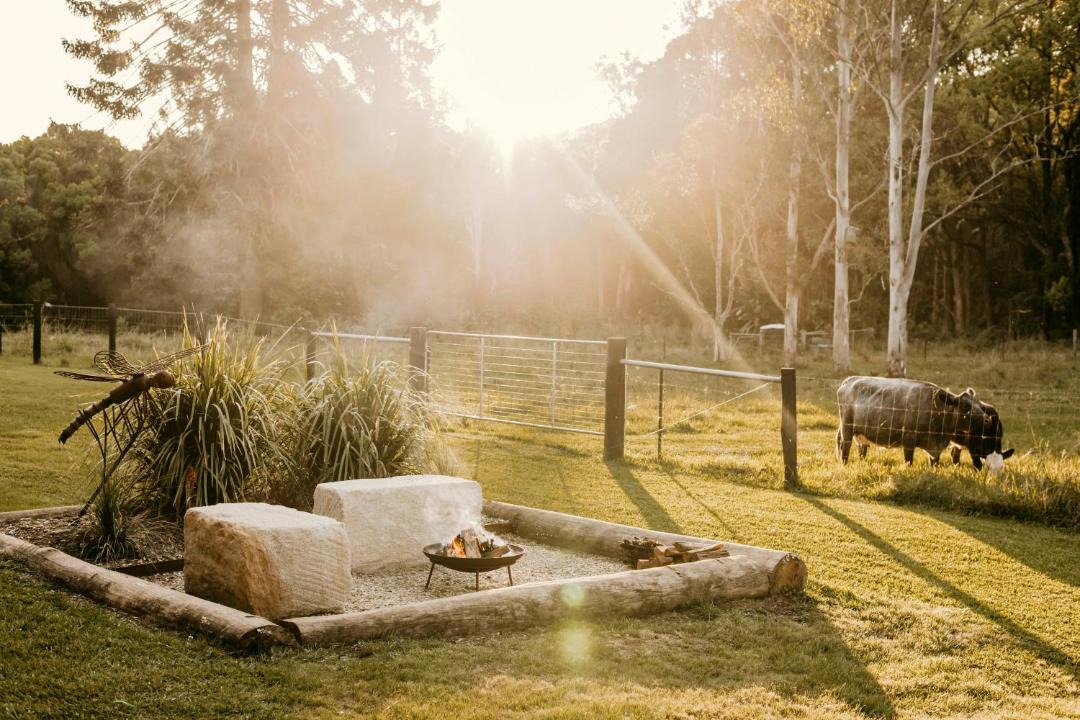 Photo of Others in Nimbin