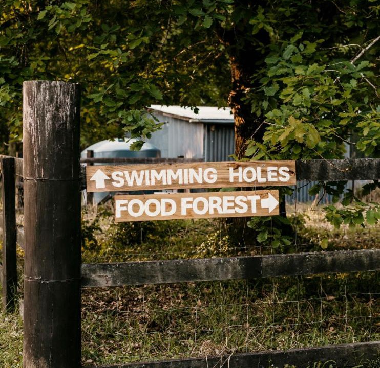 Photo of Others in Nimbin