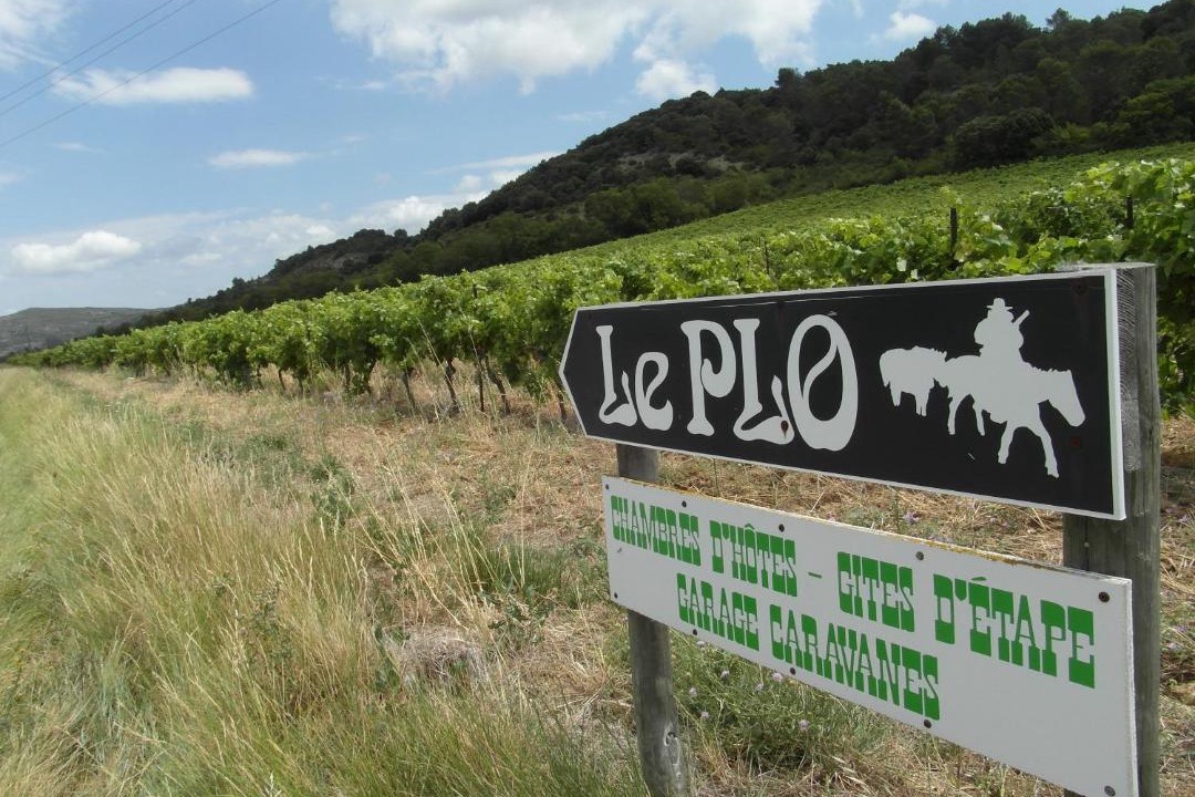 Photo of Buildings in Montlaur