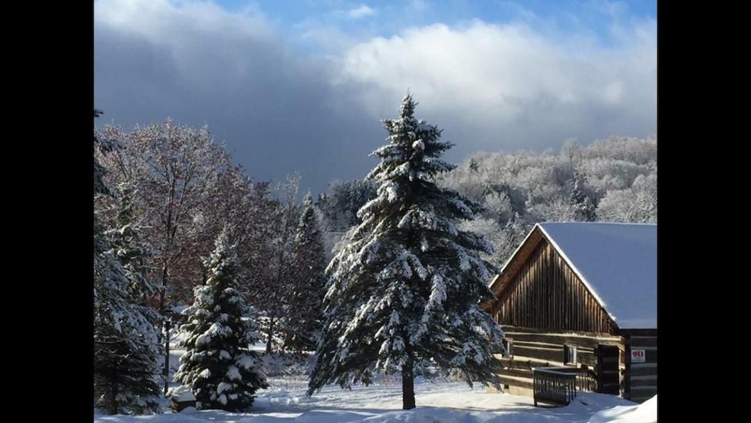 Photo of Others in Bancroft