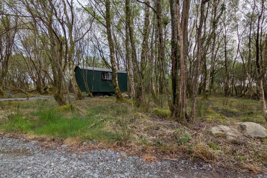 Photo of Others in Criccieth