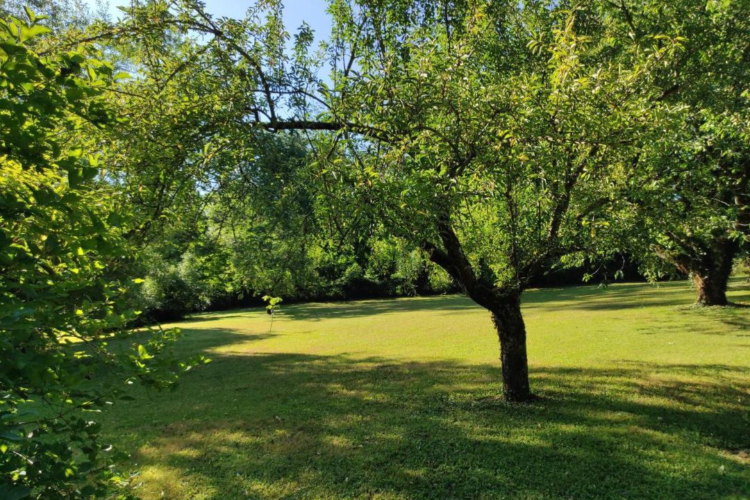 Photo of Outdoor in Saint-Savin