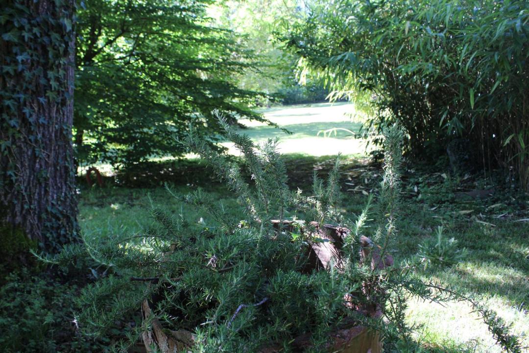 Photo of Outdoor in Saint-Savin