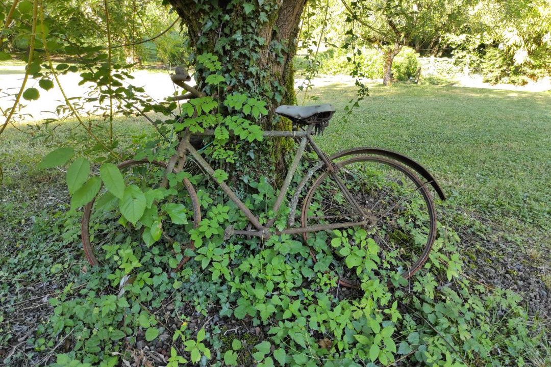 Photo of Outdoor in Saint-Savin