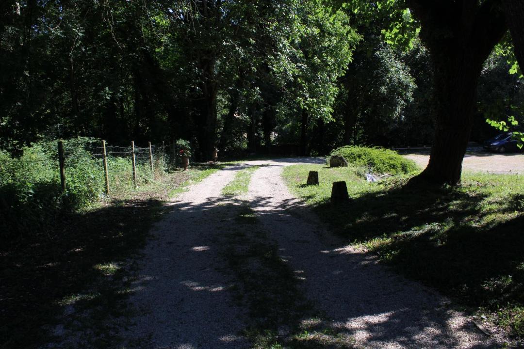 Photo of Others in Saint-Savin