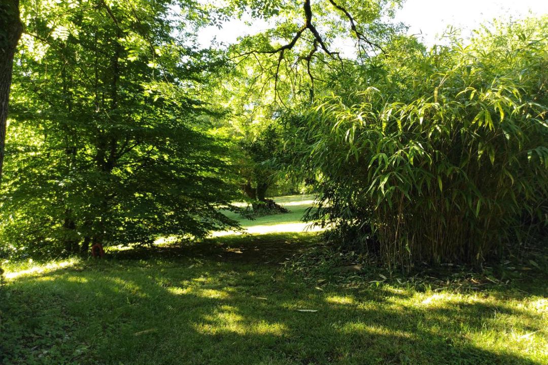 Photo of Outdoor in Saint-Savin