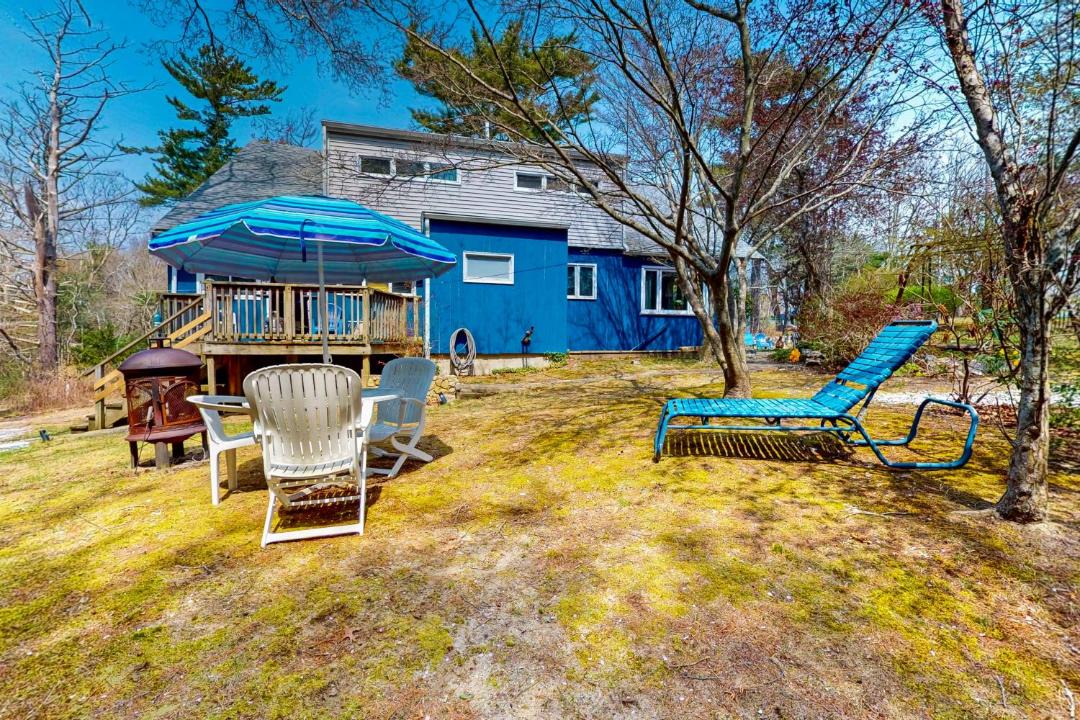 Photo of Others in Cedar Bushes