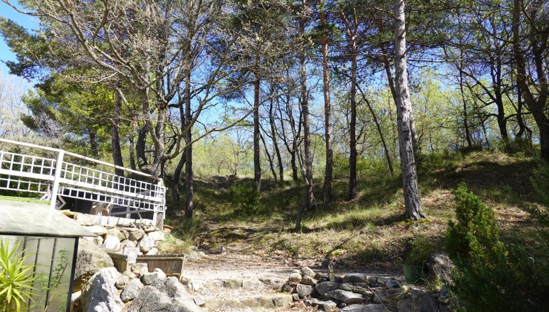 Photo of Others in Puimoisson