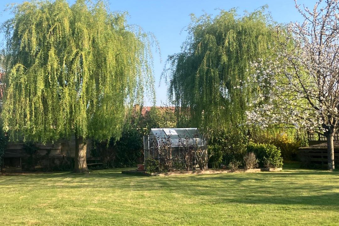 Photo of Outdoor in Marquillies