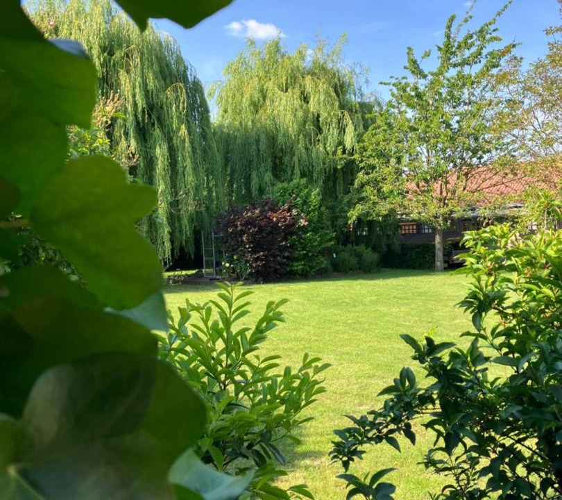 Photo of Others in Marquillies