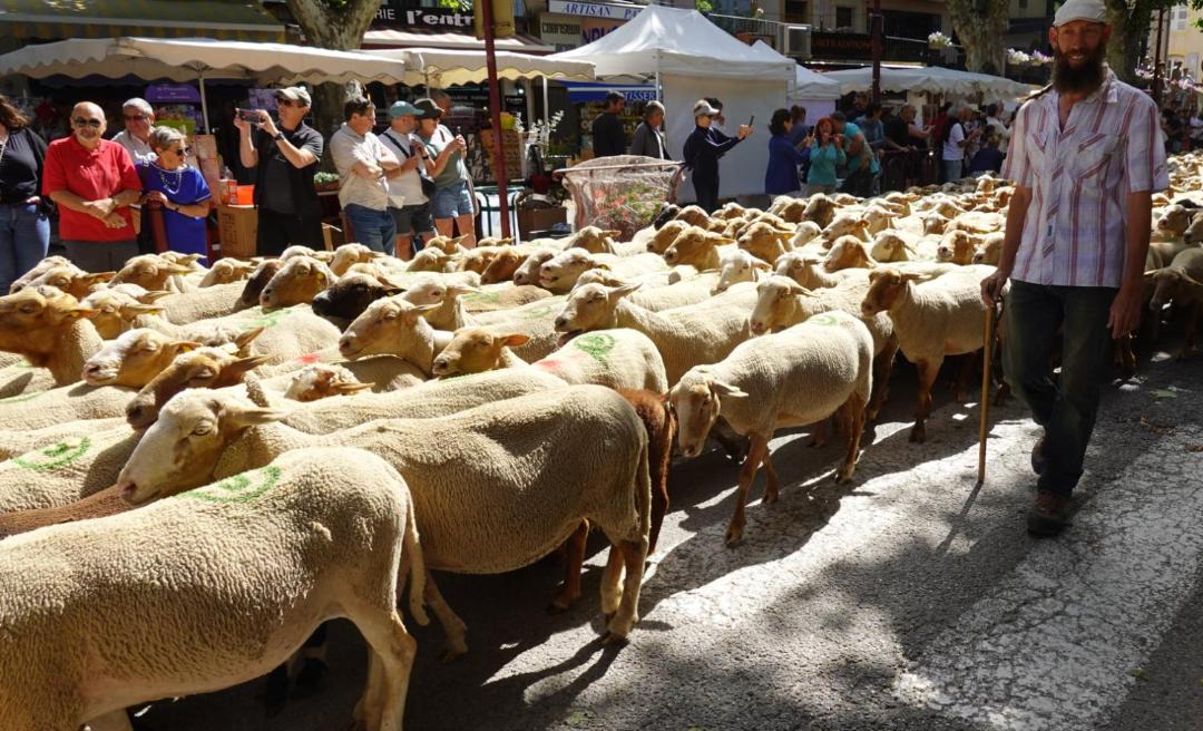 Photo of Others in Puimoisson