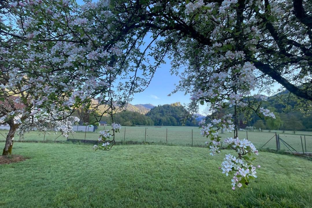 Photo of Outdoor in Kruth