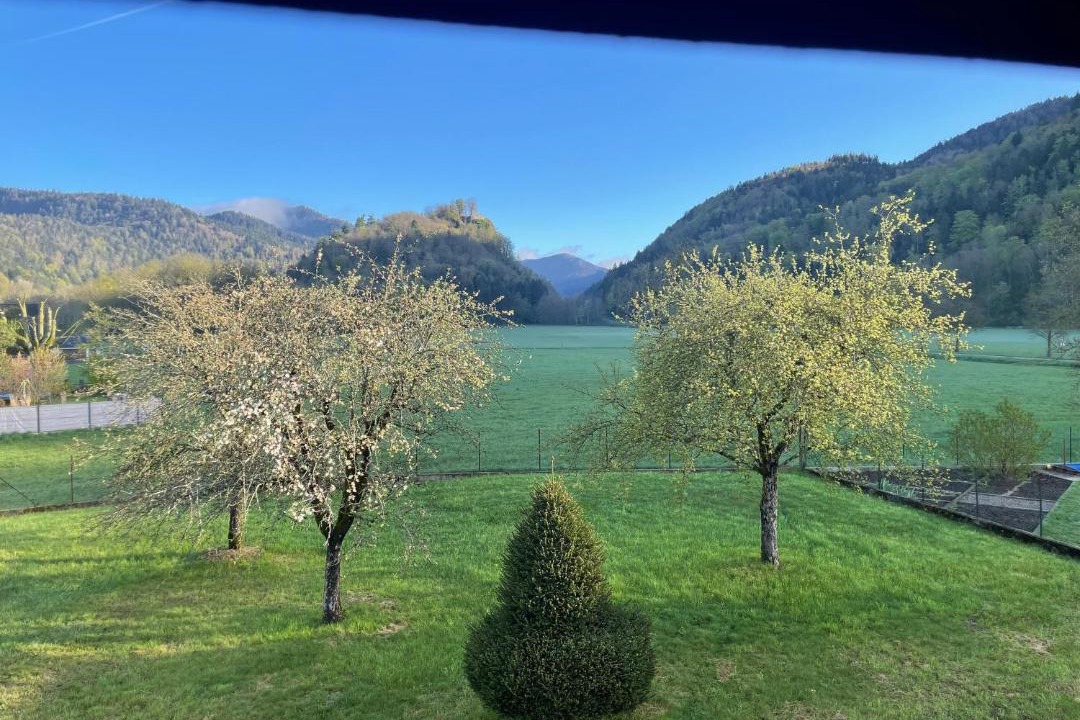 Photo of Others in Kruth