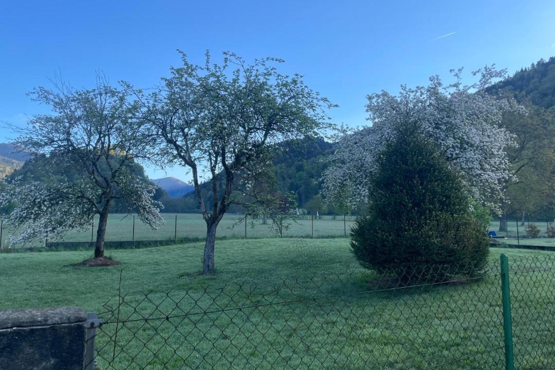 Photo of Others in Kruth