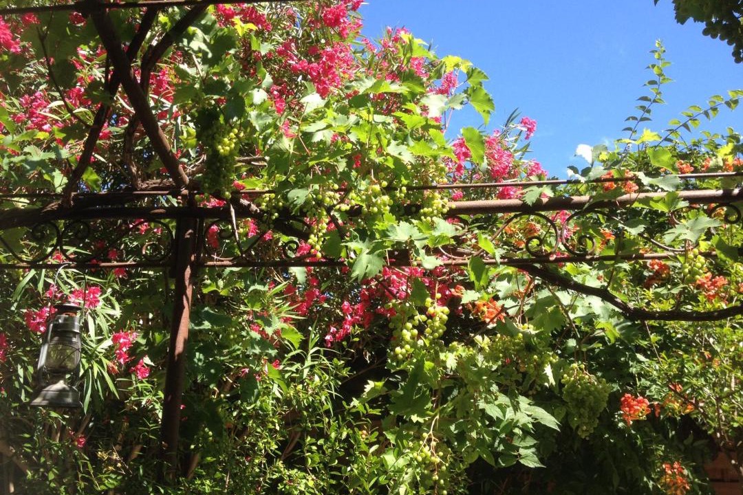 Photo of Others in Cuxac-dʼAude