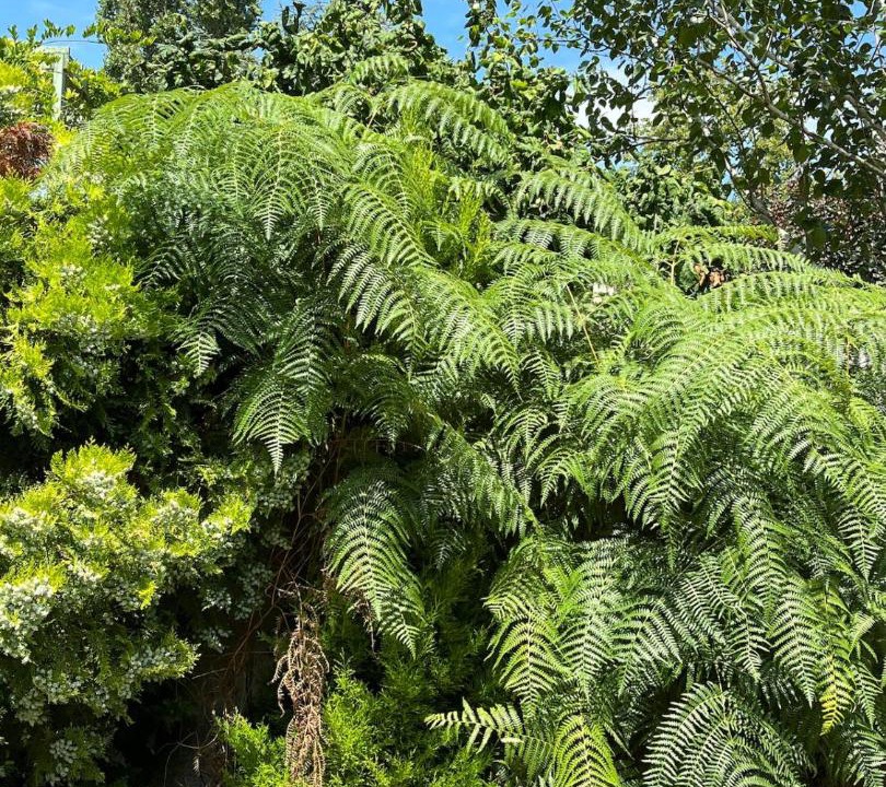 Photo of Outdoor in Epone