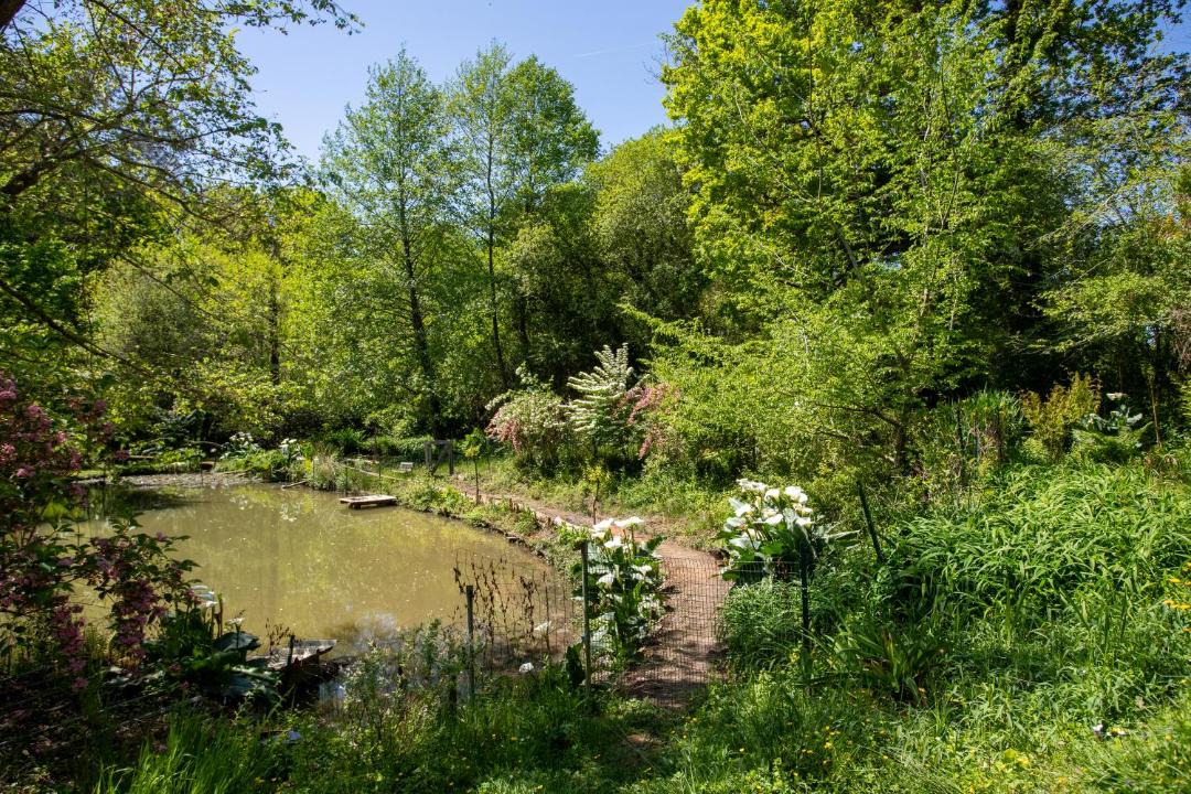 Photo of Others in Habas