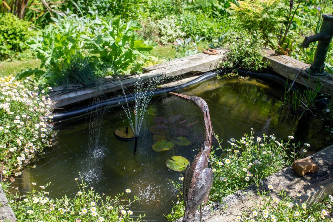 Photo of Others in Habas