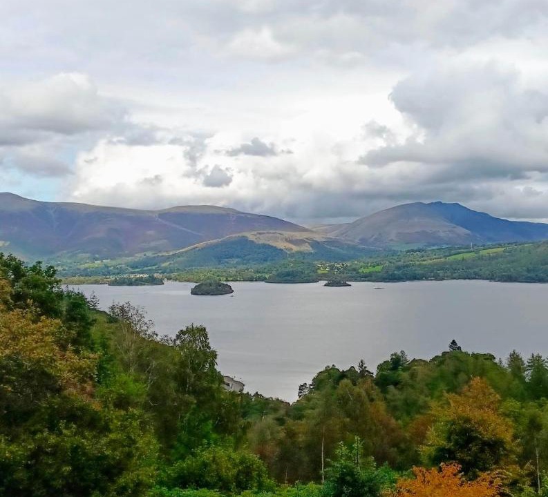 Photo of Others in Manesty