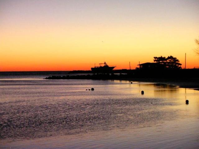 Photo of Others in Saybrook Manor