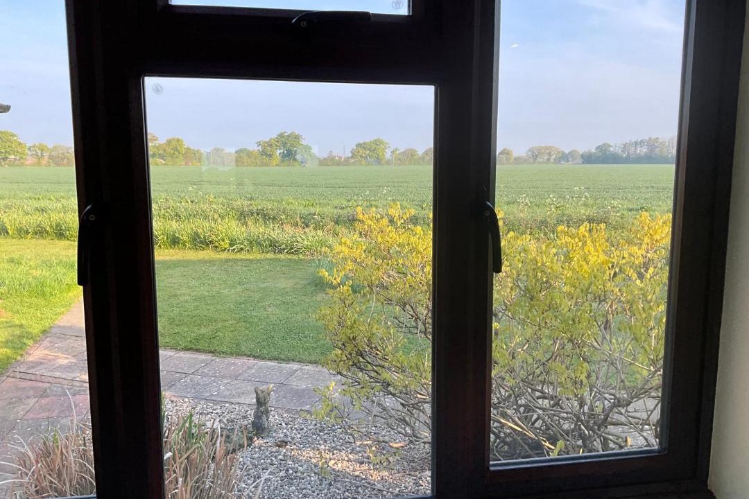 Photo of Others in Elmstead Market