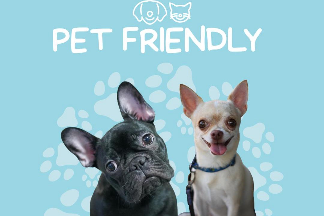 Photo of Others in Bowen