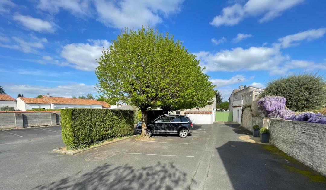 Photo of Others in Coulon