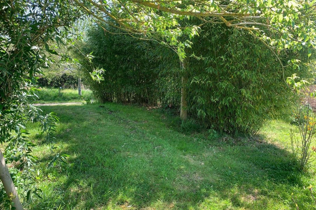 Photo of Outdoor in Mirepoix